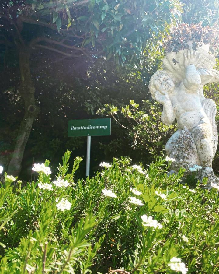 Castelveccana Il Motto Di Tommy Bed & Breakfast エクステリア 写真